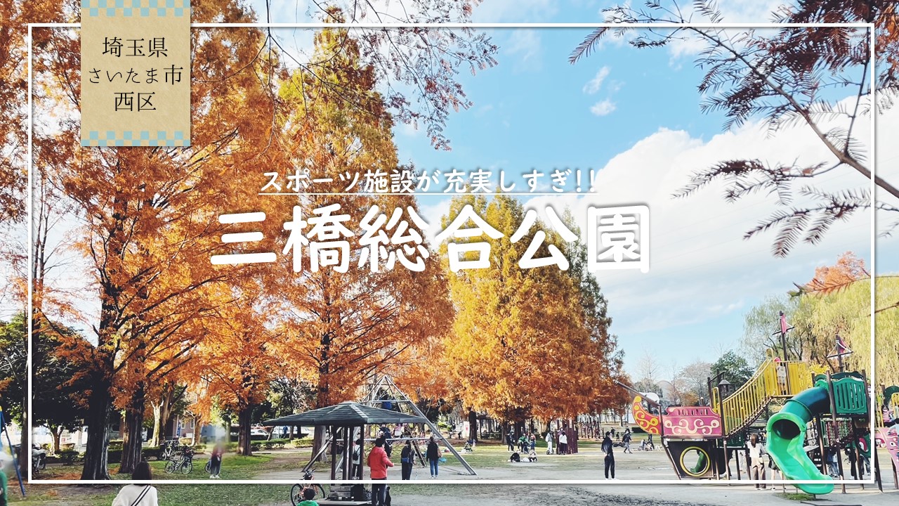 三橋総合公園 埼玉県さいたま市のスポーツ施設が充実しすぎている公園